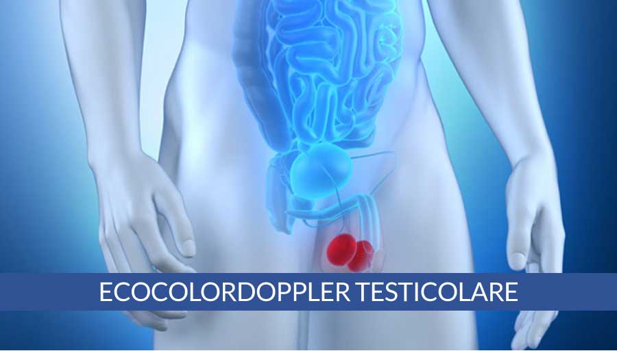 ecocolordoppler-testicolare-a-napoli-cardiocenter