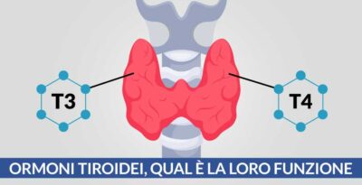 Ormoni tiroidei, qual è la loro funzione