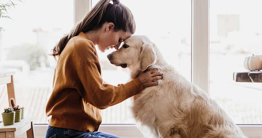 Gli-animali-domestici-migliorano-la-salute-del-cuore