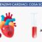 Gli enzimi cardiaci cosa sono e perché si misurano