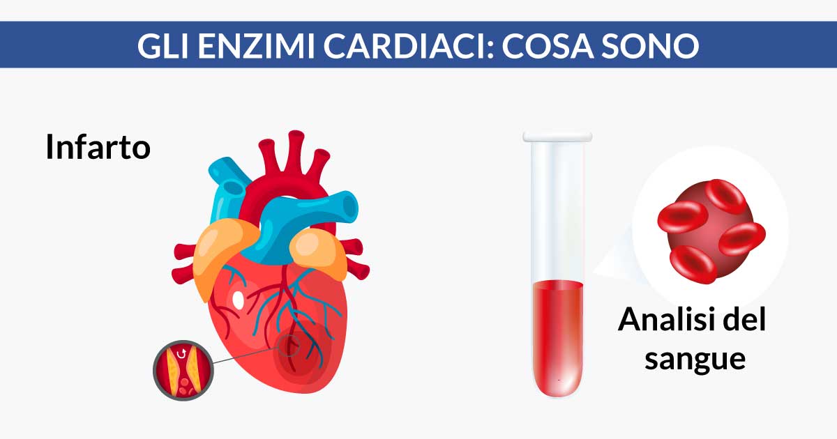 Gli-enzimi-cardiaci-cosa-sono-e-perché-si-misurano-cardiocenter